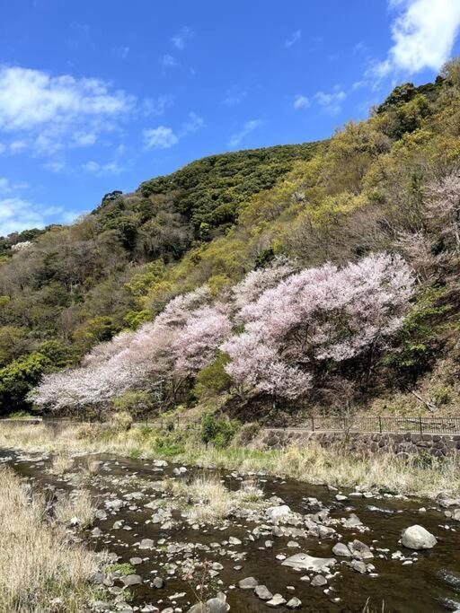 沼津戸田湾の古民家一軒貸切宿 釣り ハイキング 海水浴 ツーリングにおすすめ Buitenkant foto